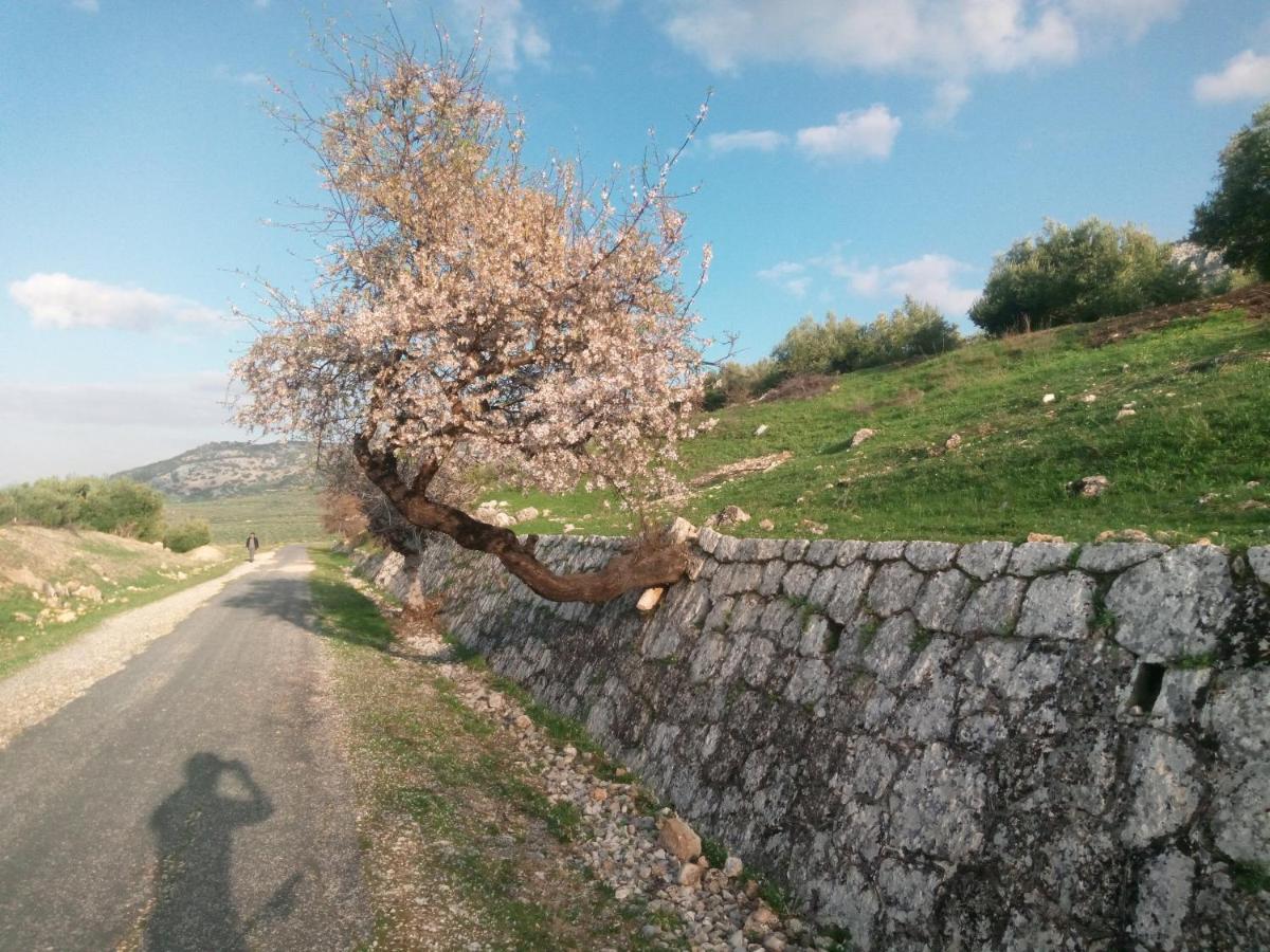El Hechizo Del Bailon ξενώνας Zuheros Εξωτερικό φωτογραφία